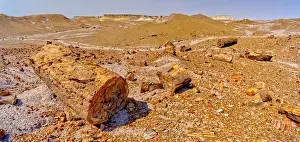 Giant petrified logs on the Purple Peninsula in Petrified Forest National Park, Arizona