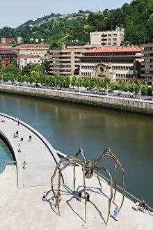 Images Dated 5th August 2009: Giant spider sculpture by Louise Bourgeois, Nervion River, Bilbao, Basque country