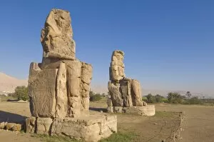 Images Dated 16th December 2008: Two giant statues known as the Colossi of Memnon carved to represent the pharaoh Amenhotep III of