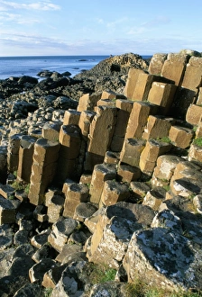 The Giants Causeway