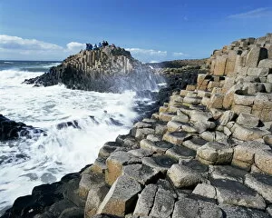 Images Dated 6th August 2008: Giants Causeway on the Causeway coast