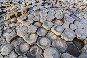 The Giants Causeway, UNESCO World Heritage Site, County Antrim, Ulster, Northern Ireland