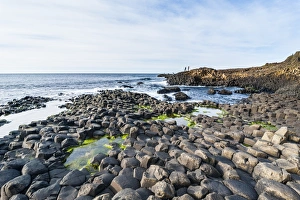The Giants Causeway, UNESCO World Heritage Site, County Antrim, Ulster, Northern Ireland