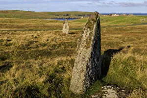 Grasslands Prints: The Giants Stones, Standing Stones, Hamnavoe, Eshaness, Northmavine, Mainland