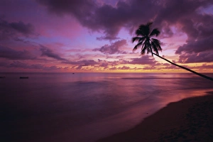 Gibbes Bay at sunset, Barbados, West Indies, Caribbean, Central America Gibbes Bay at sunset, Barbados, West Indies, Caribbean, Central America