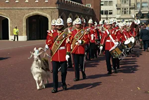 Portraits Prints: Gibraltar Regiment Band with goat mascot, London, England, United Kingdom, Europe