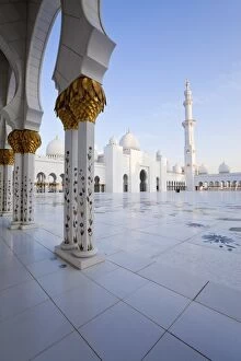 Images Dated 25th January 2010: Gilded columns of Sheikh Zayed Bin Sultan Al Nahyan Mosque, Abu Dhabi, United Arab Emirates