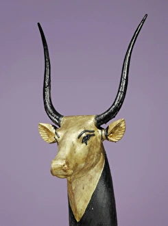Treasure Prints: Gilded and stuccoed wooden head of the sacred cow