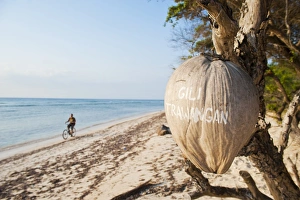 Writing Prints: Gili Trawangan written on a coconut, Gili Islands, Indonesia, Southeast Asia, Asia