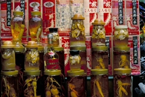 Grocery Prints: Ginseng shop