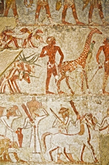 Giraffe among the tribute from Nubia, Tomb of Rekhmire, West Bank, Thebes