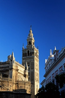 Giralda Prints: The Giralda in the early morning
