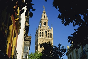 Giralda Prints: The Giralda framed by trees