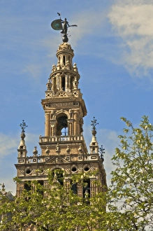 Giralda Prints: Giralda, Seville, Andalucia, Spain, Europe
