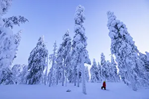 Finland Prints: A girl admires the beauty of the snowy woods during a cold winter day
