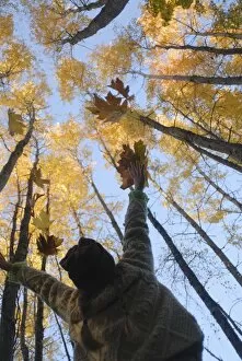 Autumnal Leaves Collection: Girl throws leaves in the air to celebrate autumn