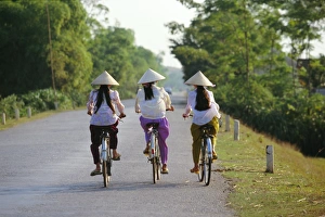 Head Piece Prints: Three girls in conical hats cycling on rural road north of Hanoi