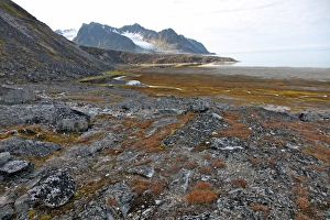 Scandinavain Prints: Glacial foreshore, Magdalenefjord, Svalbard Looking west