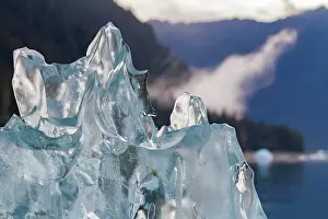 Glacial Prints: Glacial iceberg detail from ice calved off the LeConte Glacier near Petersberg
