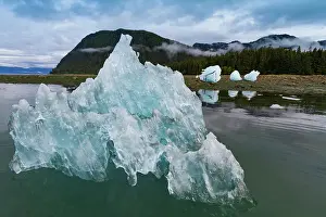 Glacial Prints: Glacial iceberg detail from ice calved off the LeConte Glacier near Petersberg