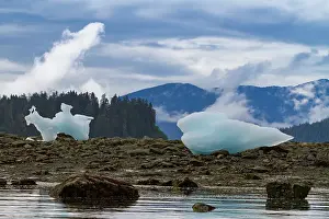 Glacial Prints: Glacial iceberg detail from ice calved off the LeConte Glacier near Petersberg