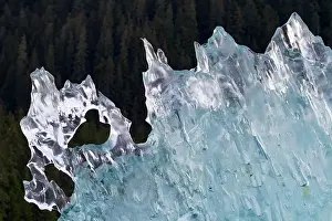 Glacial Prints: Glacial iceberg detail from ice calved off the LeConte Glacier near Petersberg