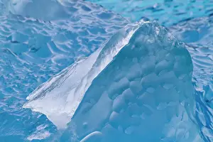 Glacial Prints: Glacial iceberg detail from ice calved off the Sawyer Glacier in Tracy Arm
