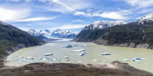 Snowcapped Prints: Glacial lake with small icebergs floating, Laguna San Rafael National Park, Aysen Region