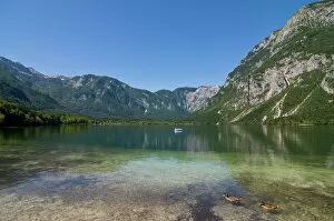 Images Dated 19th August 2008: Glacial mountain lake Bohinj, Slovenia, Europe