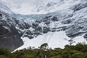 Glaciar Frances, French Valley (Valle Frances), Torres del Paine National Park, Patagonia