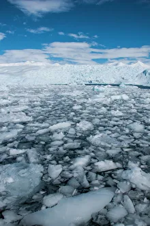 Antarctica Prints: Glacier and icebergs in Cierva Cove, Antarctica, Polar Regions