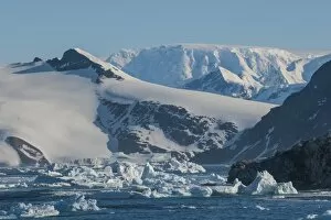 Images Dated 8th December 2011: Glacier and icebergs in Cierva Cove, Antarctica, Polar Regions