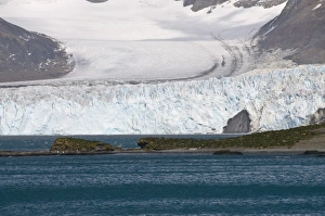 Glacier near Moltke Harbour, Royal Bay, South Georgia, South Atlantic Glacier near Moltke Harbour, Royal Bay, South Georgia, South Atlantic