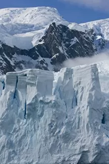 Images Dated 16th February 2009: Glacier, Paradise Bay, Antarctic Peninsula, Antarctica, Polar Regions