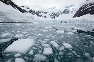Images Dated 17th February 2009: Glacier, Paradise Bay, Antarctic Peninsula, Antarctica, Polar Regions