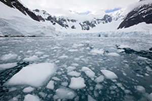 Images Dated 2009 February: 