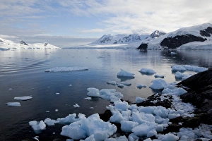Images Dated 17th February 2009: Glacier, Paradise Bay, Antarctic Peninsula, Antarctica, Polar Regions