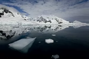 Images Dated 17th February 2009: Glacier, Paradise Bay, Antarctic Peninsula, Antarctica, Polar Regions