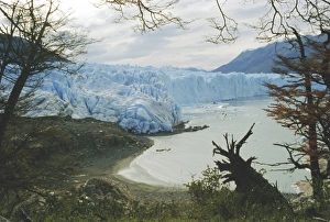 Perito Moreno Prints: Glacier, Perito Moreno, Argentina, South America