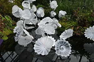 Floral Prints: Glass flower sculptures in Rain Cloud dome, Singapore