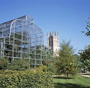 Glass House Prints: Glass house and Magdalen College Tower, Oxford Botanic Gardens, Oxford