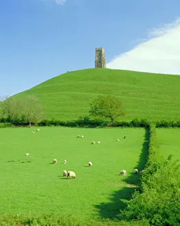 Farm Prints: Glastonbury Tor, Glastonbury, Somerset, England, UK
