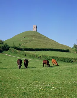 Eating Prints: Glastonbury Tor, Somerset, England, United Kingdom, Europe