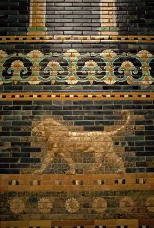 Images Dated 1st February 2008: Glazed tiles of Nebuchadnezzars Babylon, Pergamon Museum, Berlin, Germany, Europe