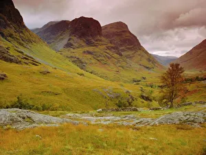 Highland Prints: Glen Coe (Glencoe)