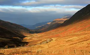 Palette Prints: Glen Docherty, Highlands, Scotland, United Kingdom
