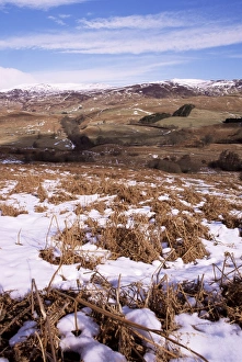 Perthshire Prints: Glen Lednoch