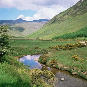 Images Dated 8th August 2008: Glen Rosa, Isle of Arran