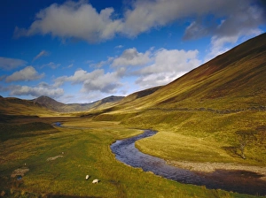 Creek Prints: Glen Shee, Tayside
