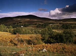 Glen Shee, Tayside